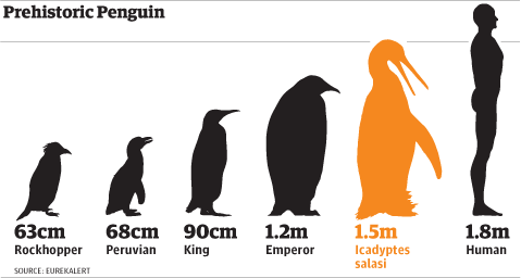 prehistoricpenguin